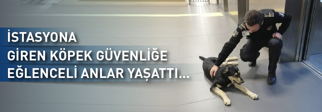 İstasyona Giren Köpek Güvenliğe Eğlenceli Anlar Yaşattı…