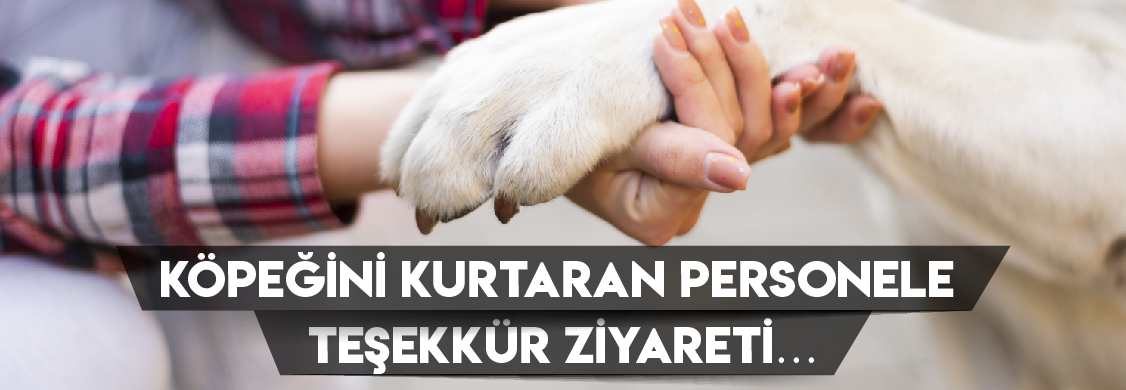 Köpeğini Kurtaran Personele Teşekkür Ziyareti…